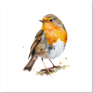 Robin Bird Watercolor Posters and Art